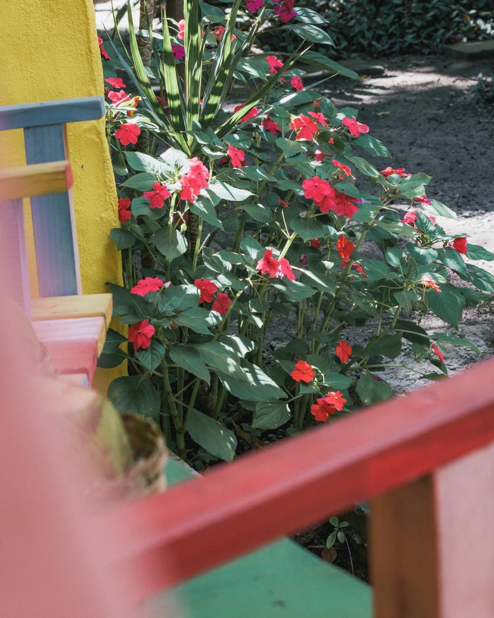 Butterfly House Bahia Hotel Марау Екстериор снимка