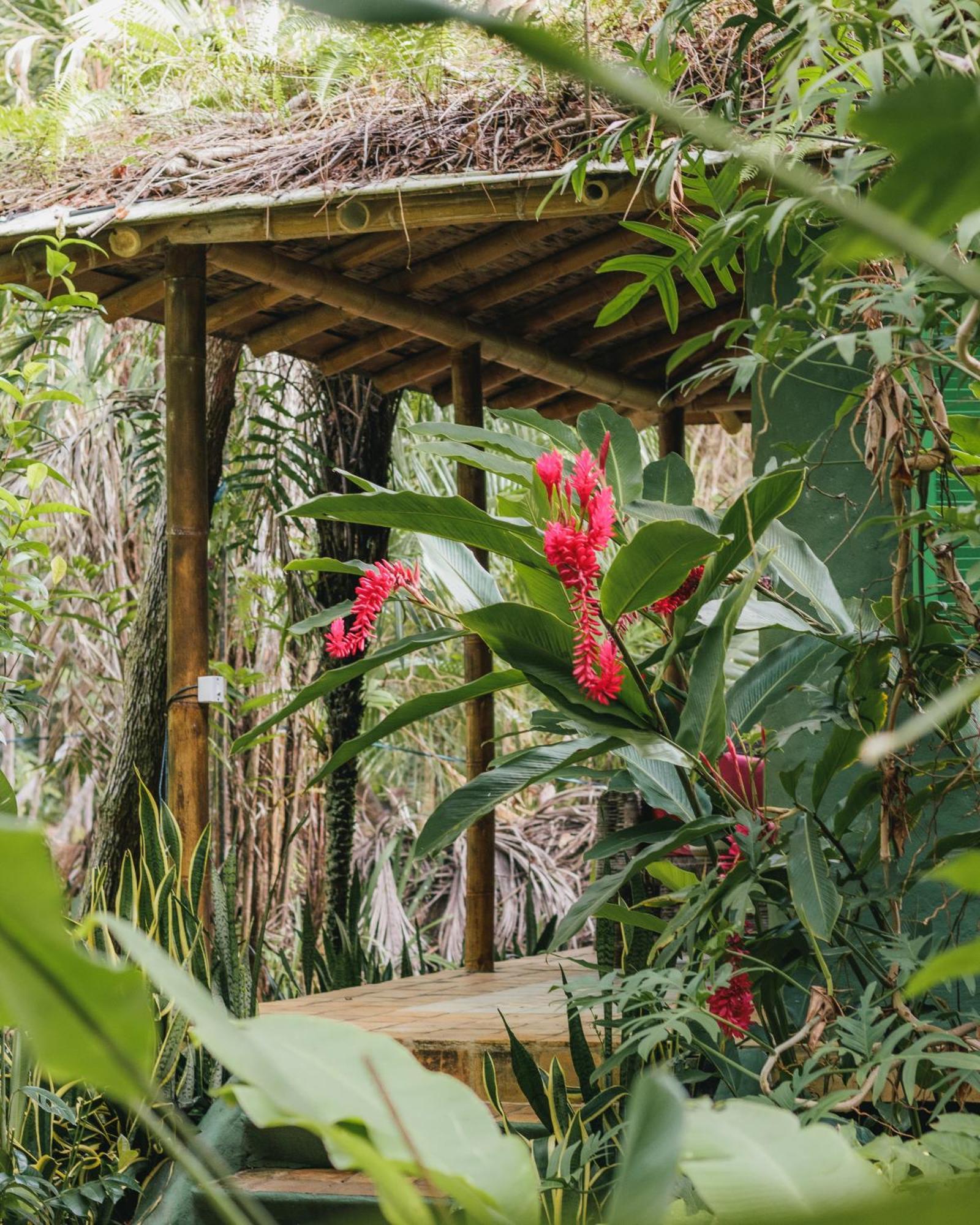 Butterfly House Bahia Hotel Марау Екстериор снимка