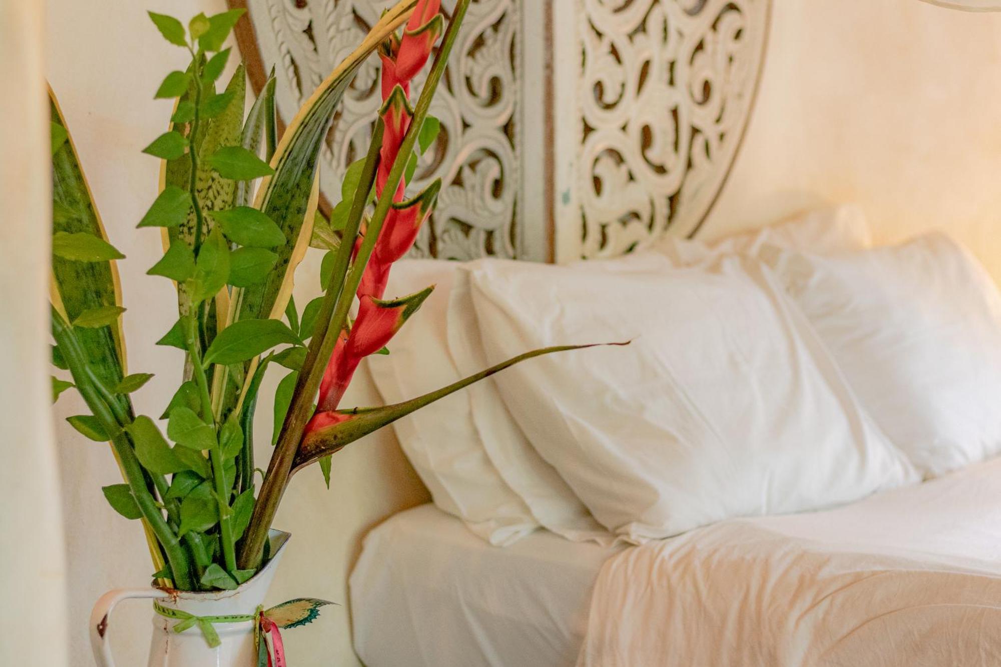 Butterfly House Bahia Hotel Марау Екстериор снимка
